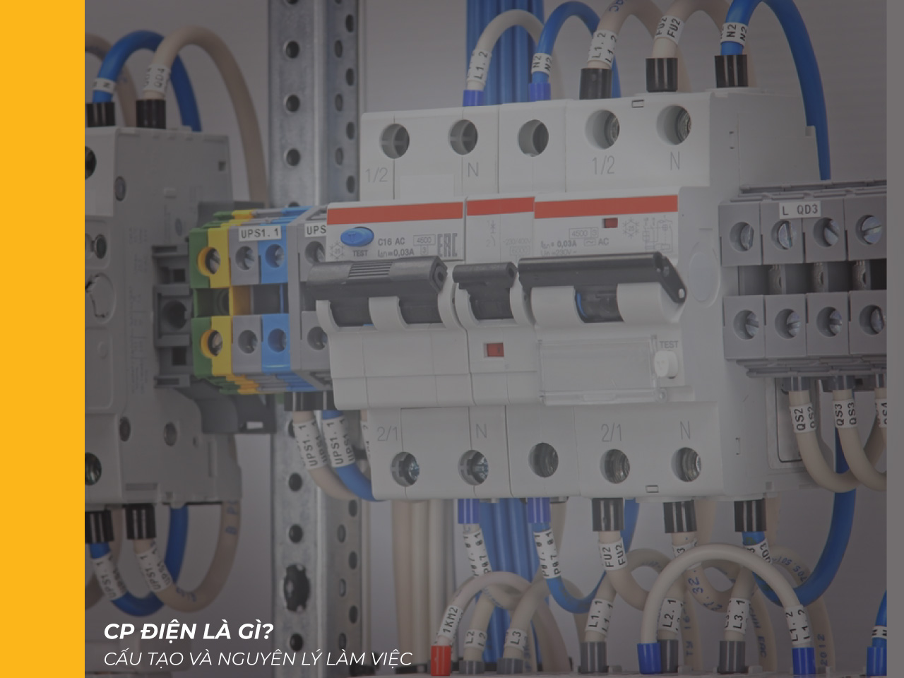 CP điện là gì? Cấu tạo và nguyên lý làm việc